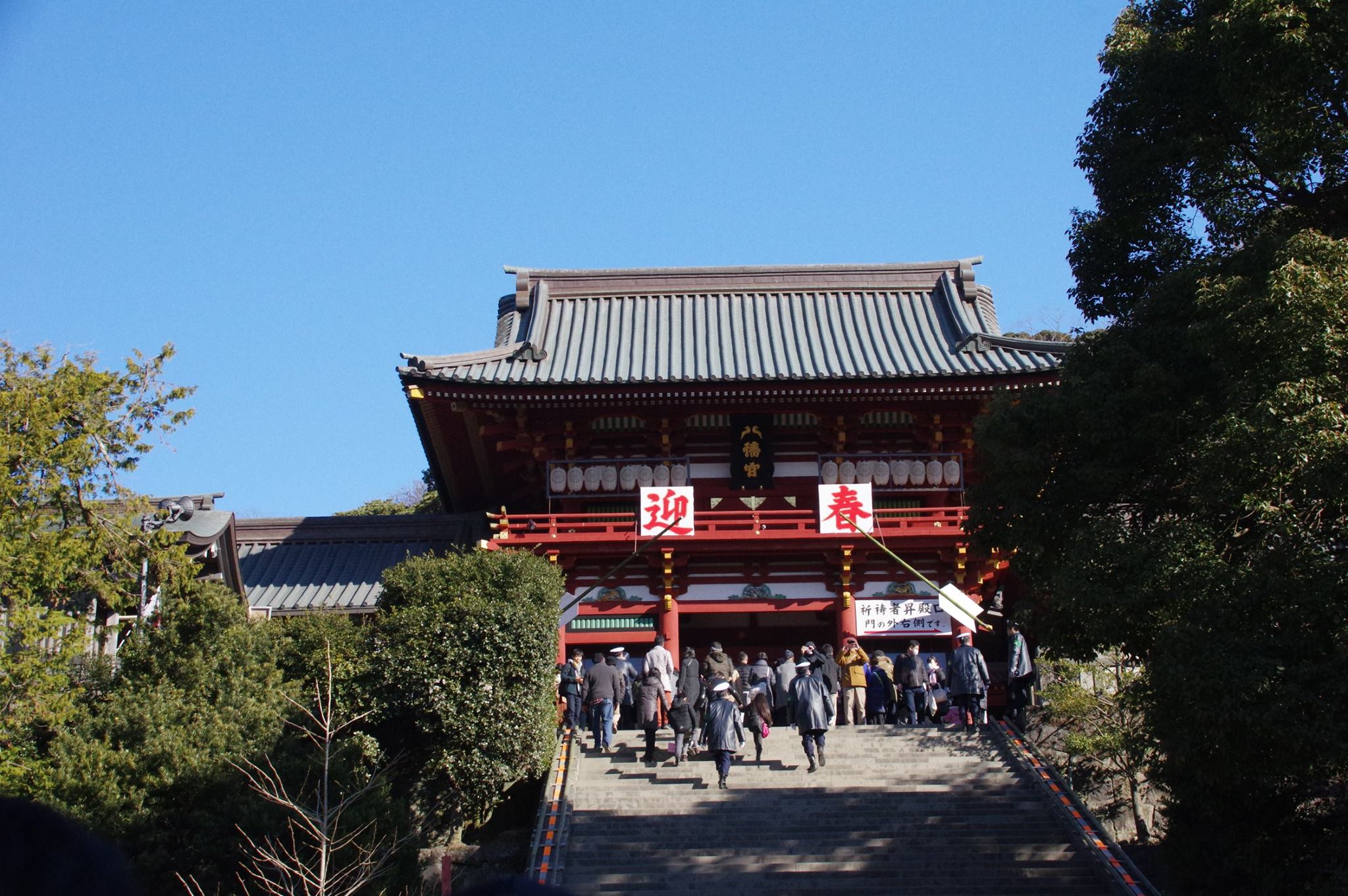 鶴岡八幡宮　初詣　混雑